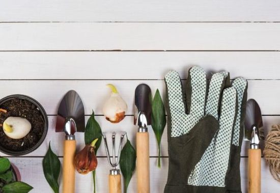 Przechowywanie narzędzi ogrodowych: łatwa organizacja sprzętu