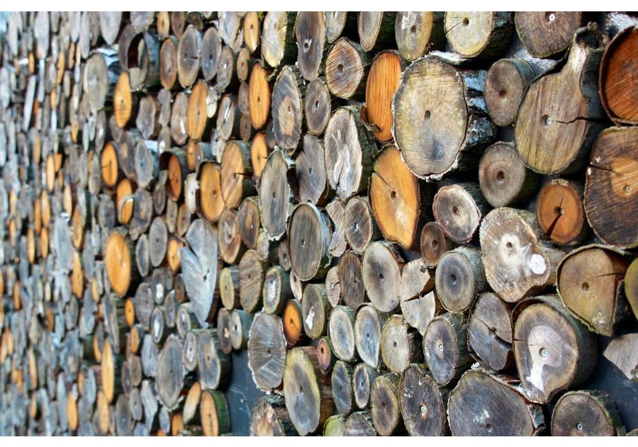 Drewno świerkowe: właściwości i zastosowanie świerku
